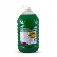 Моющее средство для посуды "Флореаль МП" Премиум Яблоко ПЭТ 5кг