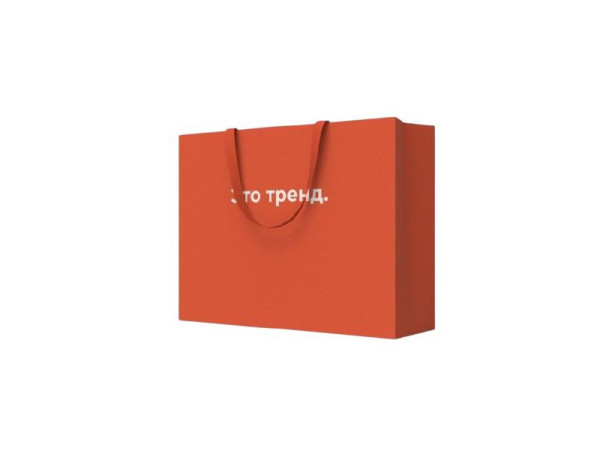 Сумка универсальная "Это тренд" (300х400х150 мм)