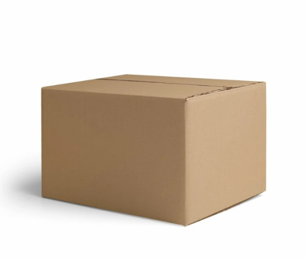 WhatsApp Image 2023-11-09 at 11.13.54